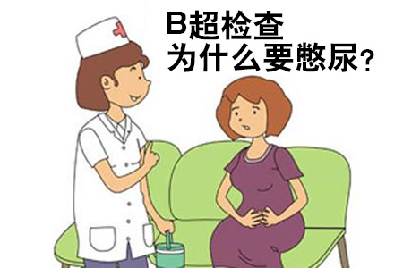 B超检查为什么要憋尿(图1)