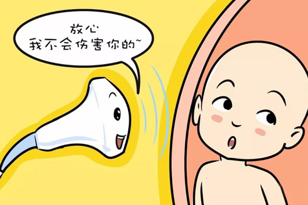 孕期需要做几次超声检查(图1)